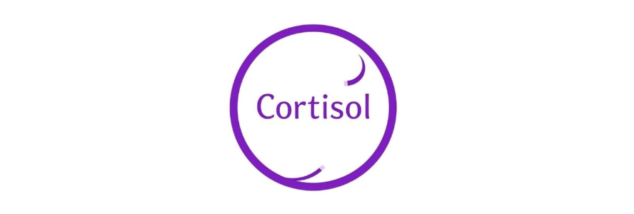 Onderzoek naar stress-hormonen bij epilepsie