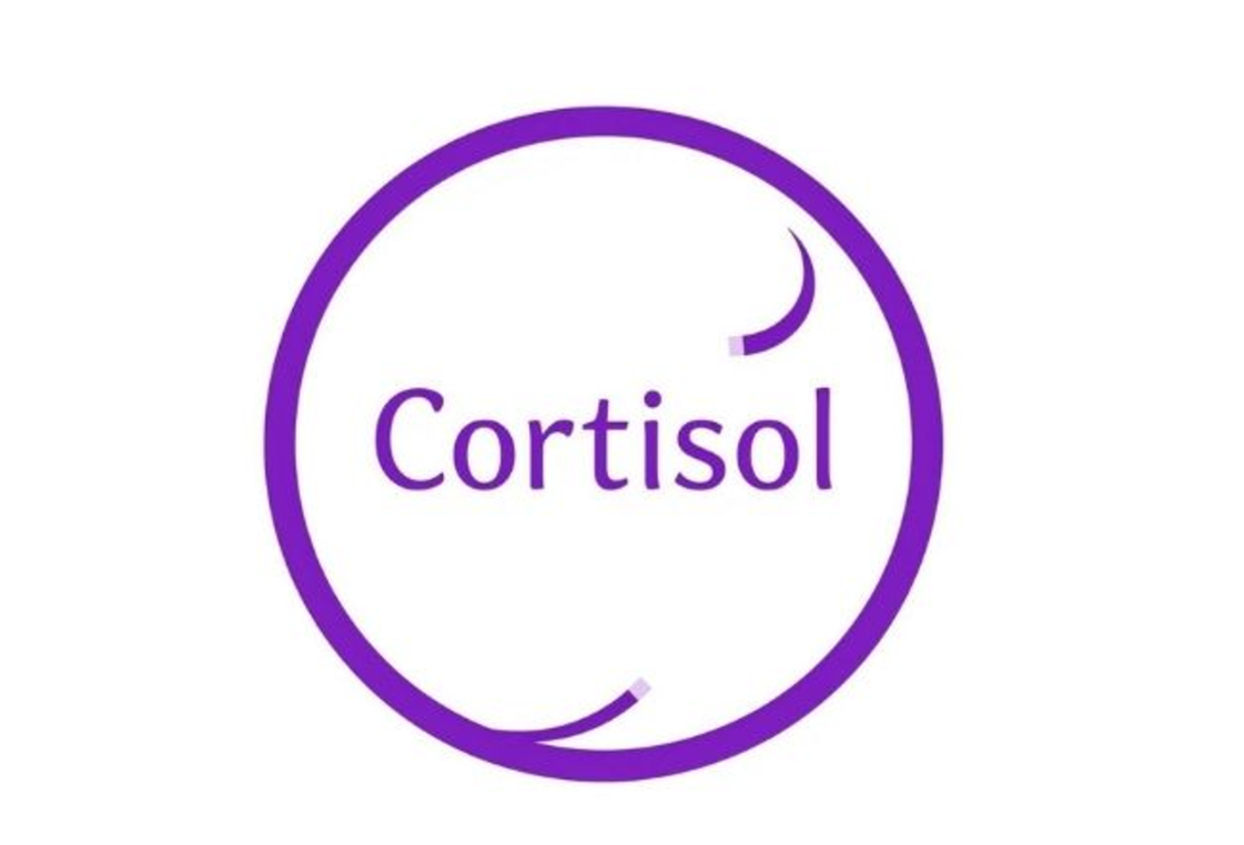 illustratie cortisol onderzoek sein stress en epilepsie