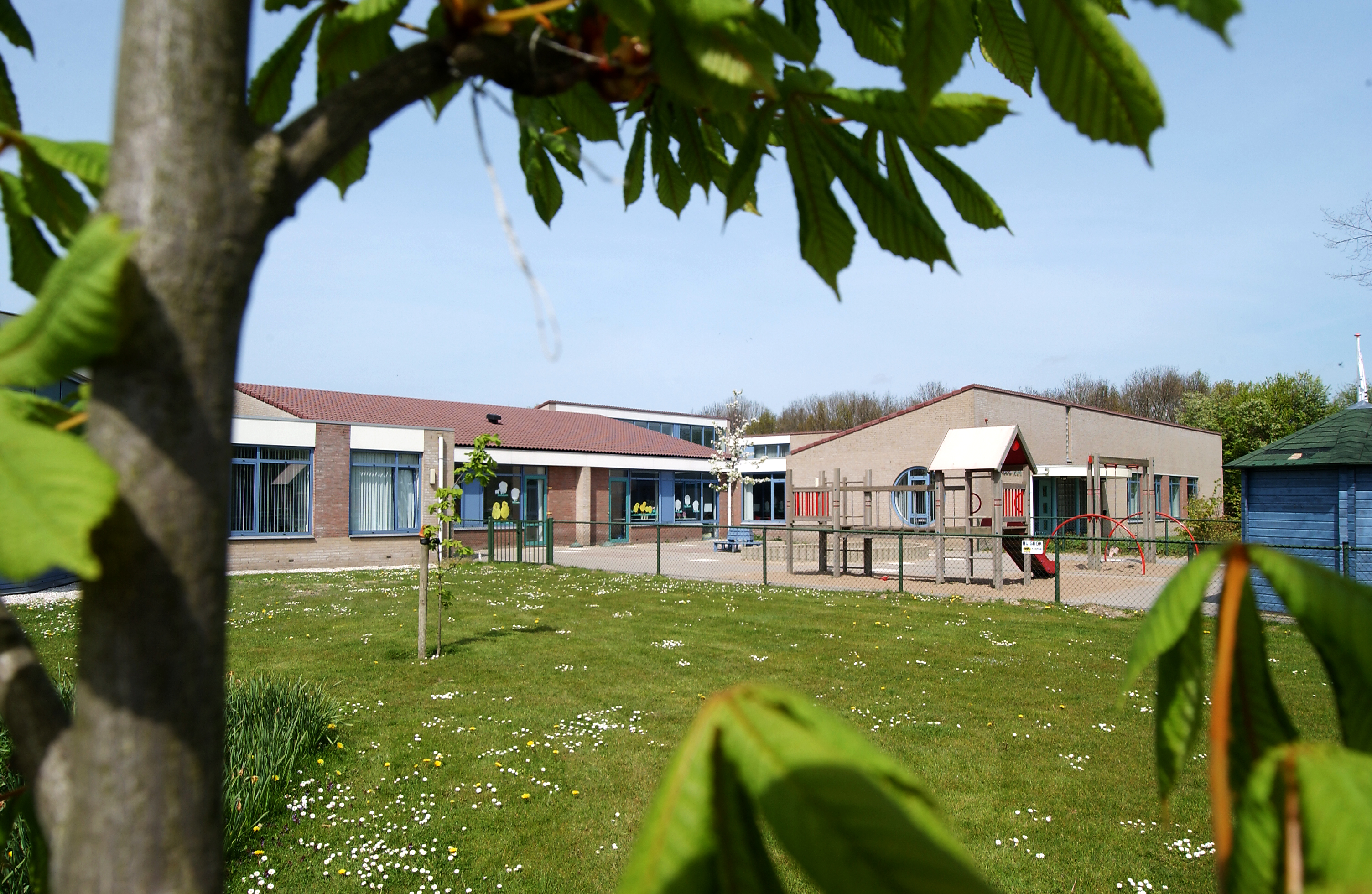 Onderwijs en begeleiding